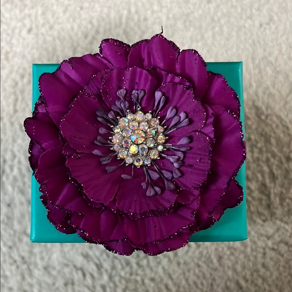 Tieks by Gavrieli Teal Box